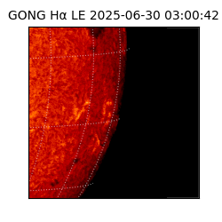 gong - 2025-06-30T03:00:42