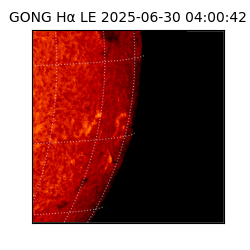 gong - 2025-06-30T04:00:42