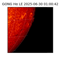 gong - 2025-06-30T01:00:42