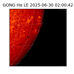 gong - 2025-06-30T02:00:42