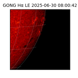 gong - 2025-06-30T08:00:42