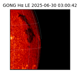 gong - 2025-06-30T03:00:42