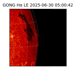 gong - 2025-06-30T05:00:42