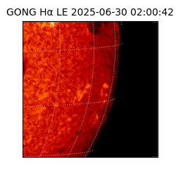 gong - 2025-06-30T02:00:42