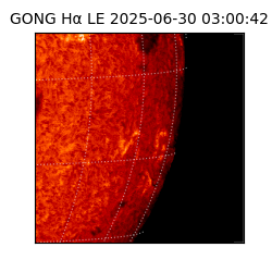 gong - 2025-06-30T03:00:42