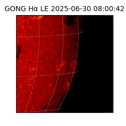gong - 2025-06-30T08:00:42