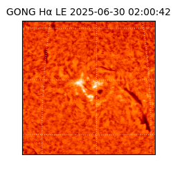 gong - 2025-06-30T02:00:42