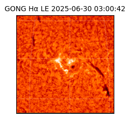 gong - 2025-06-30T03:00:42