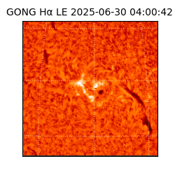 gong - 2025-06-30T04:00:42