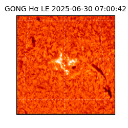 gong - 2025-06-30T07:00:42