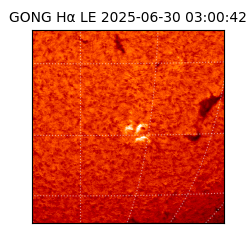 gong - 2025-06-30T03:00:42