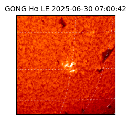 gong - 2025-06-30T07:00:42