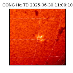 gong - 2025-06-30T11:00:10