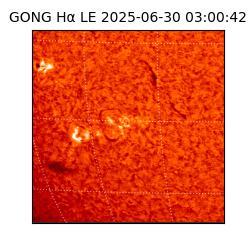 gong - 2025-06-30T03:00:42