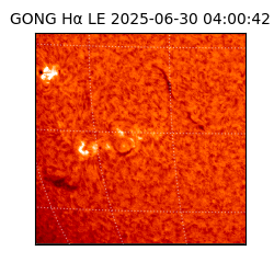 gong - 2025-06-30T04:00:42