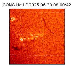 gong - 2025-06-30T08:00:42