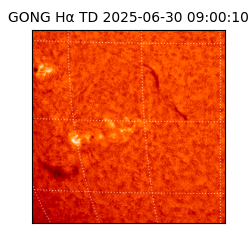 gong - 2025-06-30T09:00:10