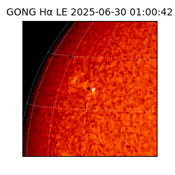gong - 2025-06-30T01:00:42