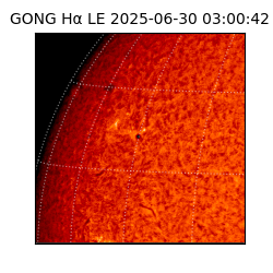 gong - 2025-06-30T03:00:42