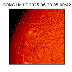 gong - 2025-06-30T05:00:42