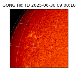 gong - 2025-06-30T09:00:10