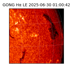 gong - 2025-06-30T01:00:42