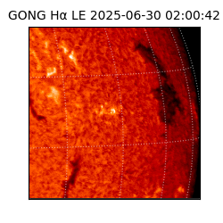 gong - 2025-06-30T02:00:42