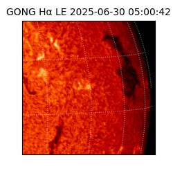 gong - 2025-06-30T05:00:42