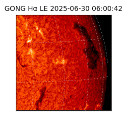 gong - 2025-06-30T06:00:42