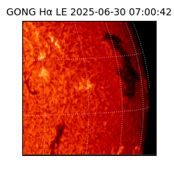 gong - 2025-06-30T07:00:42