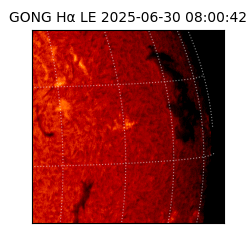 gong - 2025-06-30T08:00:42