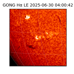 gong - 2025-06-30T04:00:42