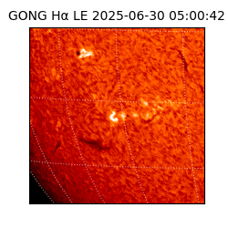 gong - 2025-06-30T05:00:42