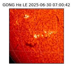 gong - 2025-06-30T07:00:42