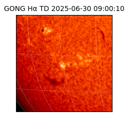 gong - 2025-06-30T09:00:10