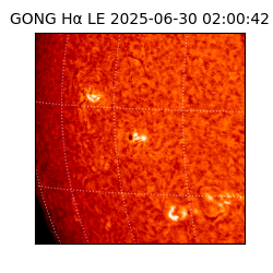 gong - 2025-06-30T02:00:42