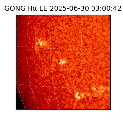 gong - 2025-06-30T03:00:42