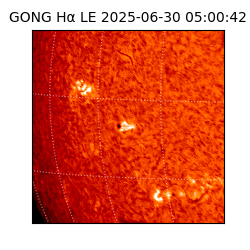 gong - 2025-06-30T05:00:42