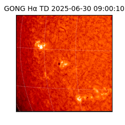 gong - 2025-06-30T09:00:10