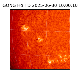 gong - 2025-06-30T10:00:10