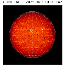 gong - 2025-06-30T01:00:42