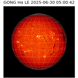 gong - 2025-06-30T05:00:42