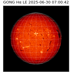 gong - 2025-06-30T07:00:42