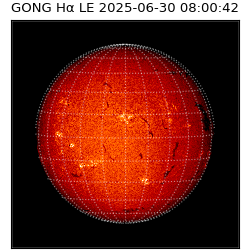gong - 2025-06-30T08:00:42