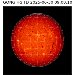 gong - 2025-06-30T09:00:10