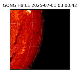 gong - 2025-07-01T03:00:42
