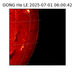 gong - 2025-07-01T06:00:42