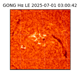 gong - 2025-07-01T03:00:42