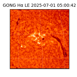 gong - 2025-07-01T05:00:42