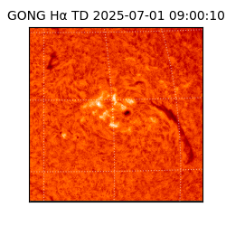 gong - 2025-07-01T09:00:10